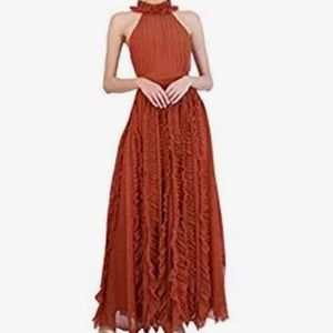 NWT BCBG Max Azria Cinnamon Long Dress Size 16